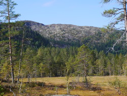 Stuvestølheii