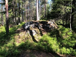 Taraldrudåsen