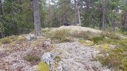 Skibdalsåsen