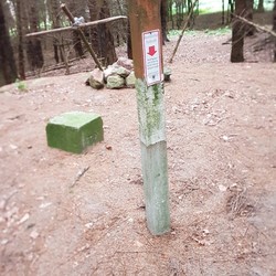 Piekberg