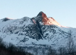 Krokelvtindrenna