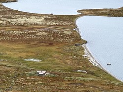 Forellhognakoia