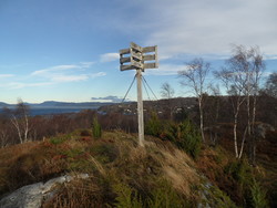 Ørnakula
