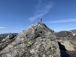 Grovnuten