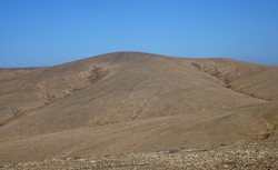 Ovejas