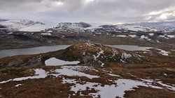 Nordrenut