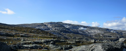 Gråsidetoppen
