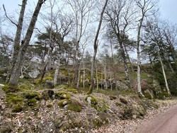 Ormereiråsen Nord