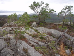 Sør for Svinesvatnet
