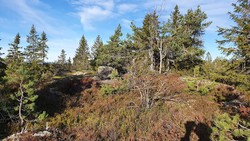Søttjernberget