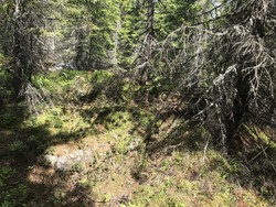 Griniberget