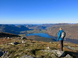 Høgehei