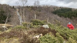 Stulihaugen