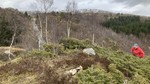 Stulihaugen
