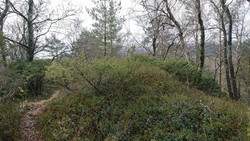 Fabiansvarden