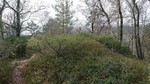 Fabiansvarden