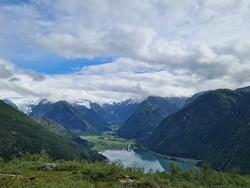 Nesahaug