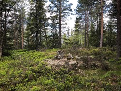 Smørkollen