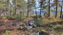Eikelifjellet