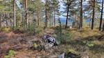 Eikelifjellet