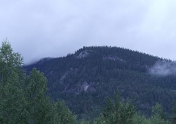 Bjørnelinatten