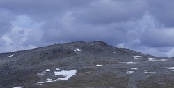 Tunga