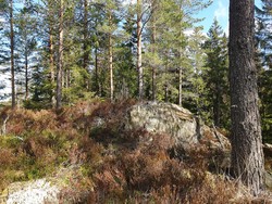 Jongseteråsen