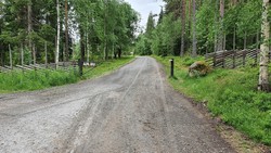 Aure sag låst bom