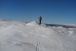 Sylfjellet