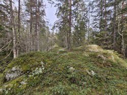Deliseterhøgda
