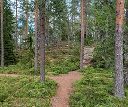 Bukkeberget