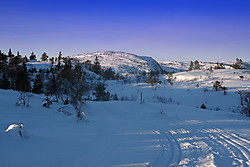 Urdalsfjell