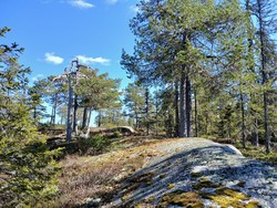 Hemtjernshaugen
