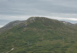 Mossakinn