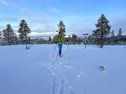 Vekthaugen