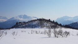 Heinakken