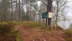 Haugsåsen