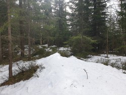 Ormtjernkollen