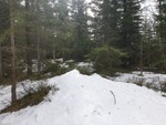 Ormtjernkollen