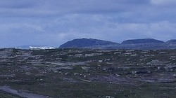 Blåknuten