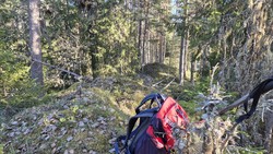 Høgsteåsen