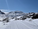 Reindalsknuten