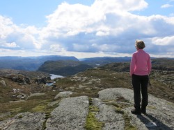 Holmaheia sør