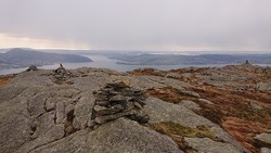 Kvitebjørnen
