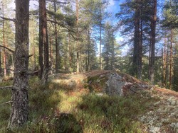 Eriksvannås