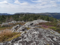 Nonåsen