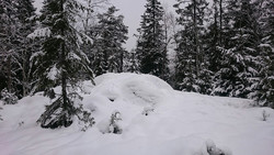 Kallmyråsen