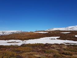 Aust for Leirungsbuin