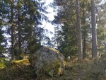 Kroktjernkollen
