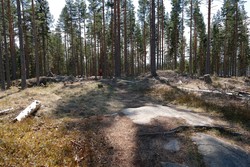 Gjesåsberget Sør